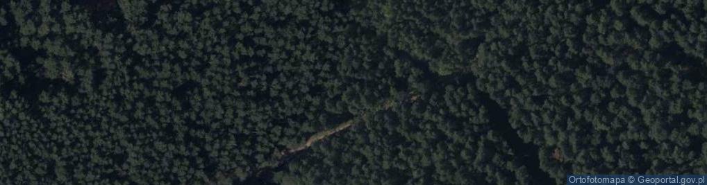 Zdjęcie satelitarne Łowiecka ul.