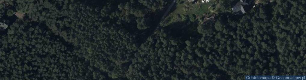 Zdjęcie satelitarne Łowiecka ul.