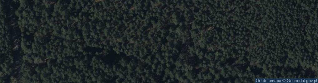 Zdjęcie satelitarne Łowiecka ul.