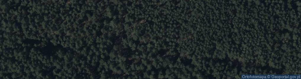 Zdjęcie satelitarne Łowiecka ul.