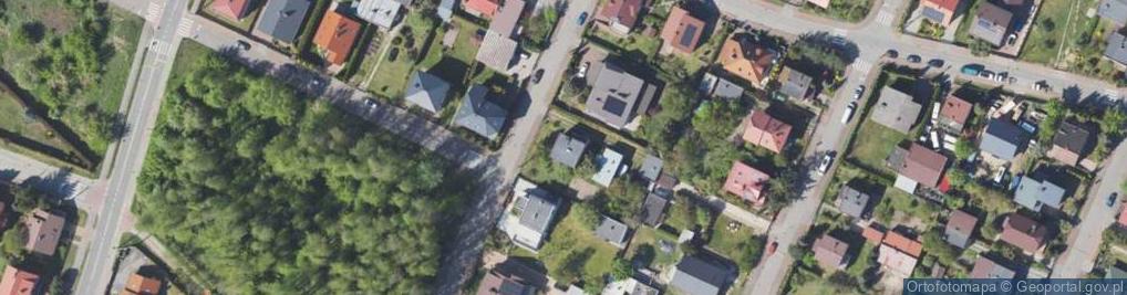 Zdjęcie satelitarne Lokalna ul.
