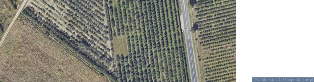 Zdjęcie satelitarne Łódzka ul.