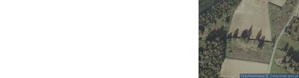 Zdjęcie satelitarne Lubenia ul.