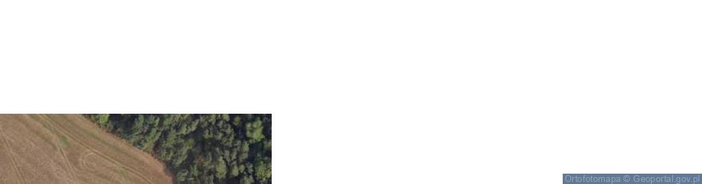 Zdjęcie satelitarne Lucim ul.