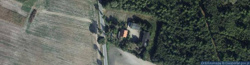 Zdjęcie satelitarne Ludowice ul.