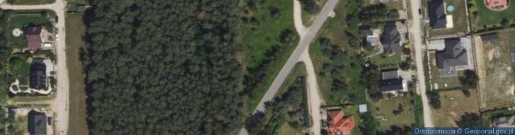 Zdjęcie satelitarne Ludwikowo ul.