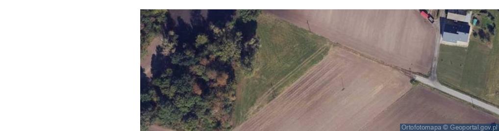 Zdjęcie satelitarne Ludwikowo ul.