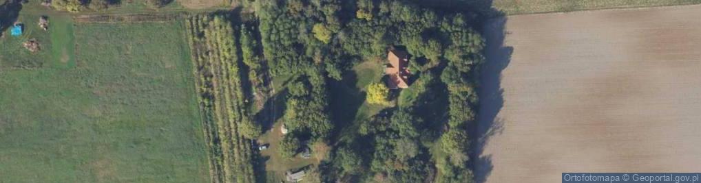 Zdjęcie satelitarne Ludwiniec ul.
