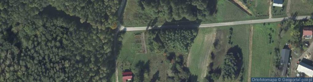 Zdjęcie satelitarne Ludwinów ul.