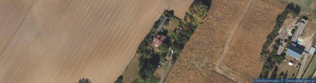 Zdjęcie satelitarne Ludwinowo ul.