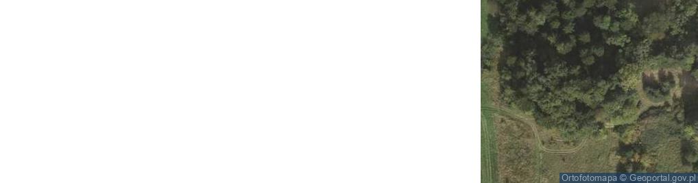 Zdjęcie satelitarne Lutcza ul.