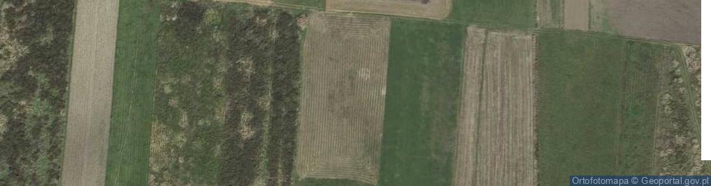 Zdjęcie satelitarne Lutoryż ul.