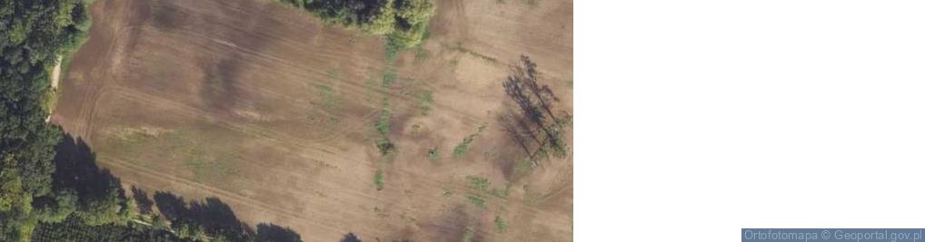 Zdjęcie satelitarne Lutówko ul.