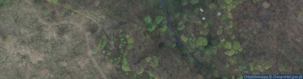 Zdjęcie satelitarne Lubiechowska ul.