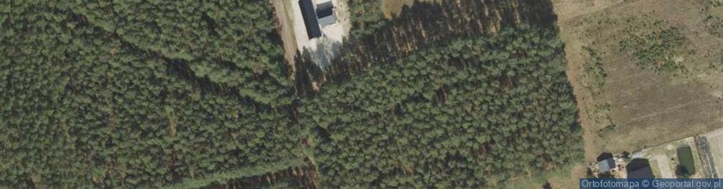 Zdjęcie satelitarne Ługowo ul.