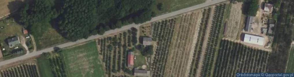 Zdjęcie satelitarne Łychowska Wola ul.