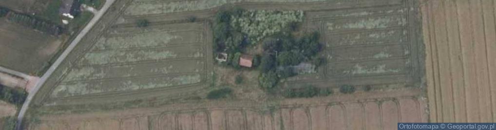 Zdjęcie satelitarne Łysokanie ul.