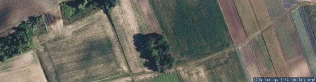 Zdjęcie satelitarne Łyszkowice ul.