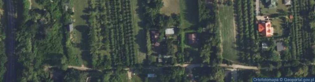 Zdjęcie satelitarne Magnolii ul.