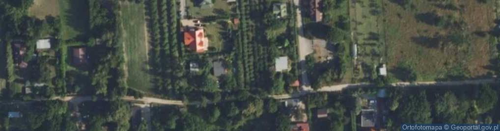 Zdjęcie satelitarne Magnolii ul.