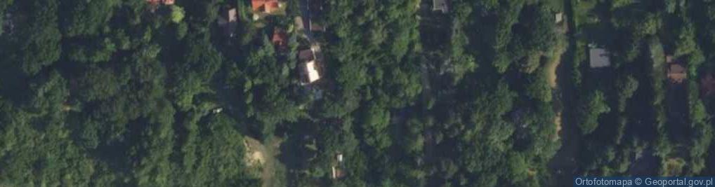 Zdjęcie satelitarne Magnolii ul.