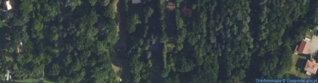 Zdjęcie satelitarne Magnolii ul.