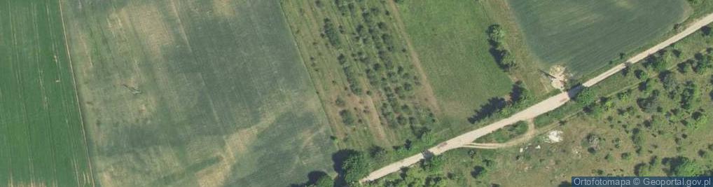 Zdjęcie satelitarne Majowa ul.