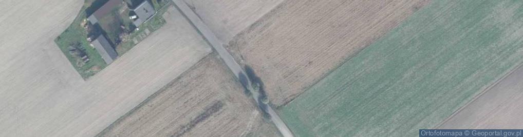 Zdjęcie satelitarne Majcherka Alfonsa, ks. ul.