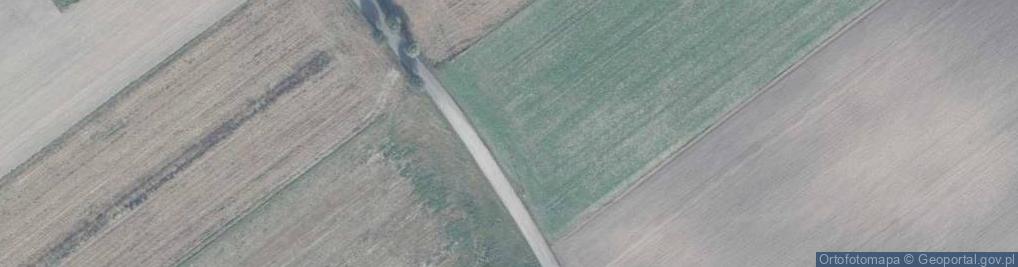 Zdjęcie satelitarne Majcherka Alfonsa, ks. ul.