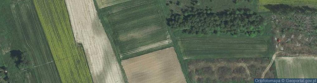 Zdjęcie satelitarne Malwowa ul.