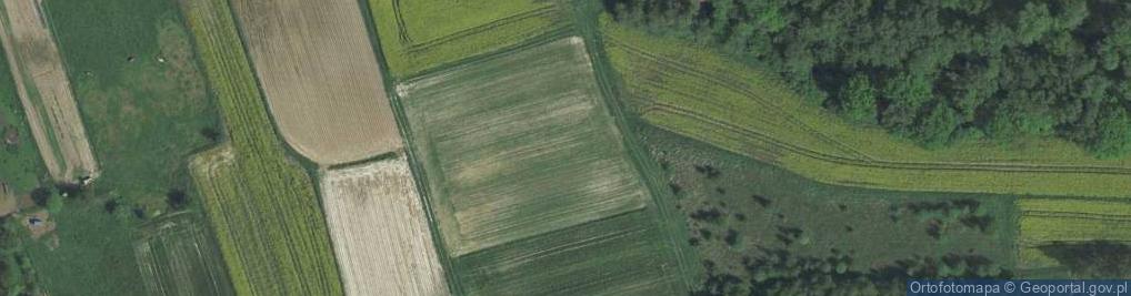 Zdjęcie satelitarne Malwowa ul.