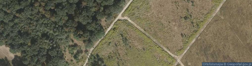 Zdjęcie satelitarne Magnoliowa ul.