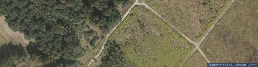 Zdjęcie satelitarne Magnoliowa ul.