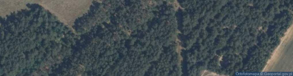 Zdjęcie satelitarne Marcinka ul.