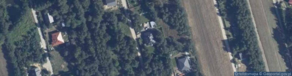 Zdjęcie satelitarne Magnolii ul.