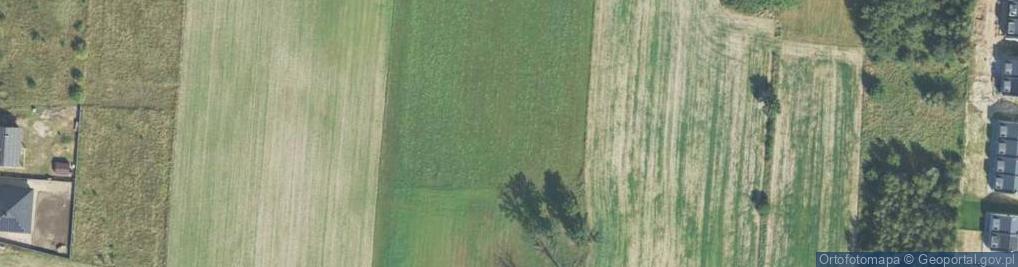 Zdjęcie satelitarne Małkowskich Andrzeja i Olgi ul.