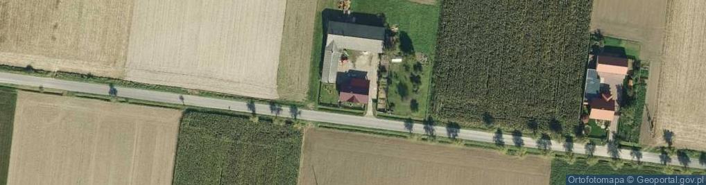 Zdjęcie satelitarne Maciejew ul.