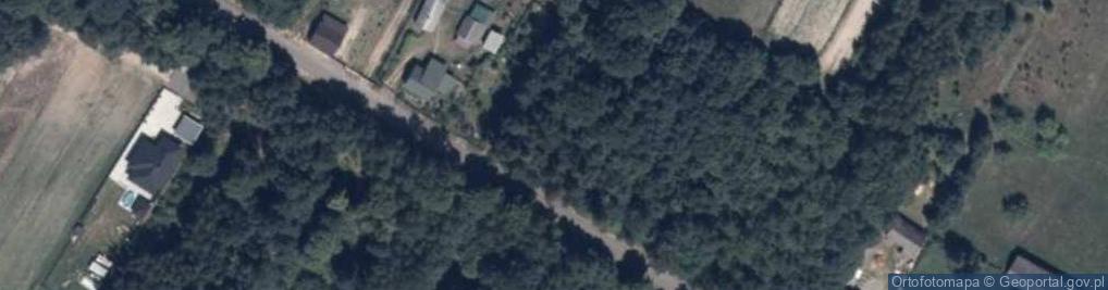 Zdjęcie satelitarne Maciejowice ul.