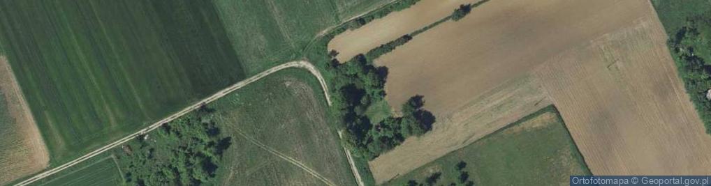 Zdjęcie satelitarne Maciejowice ul.