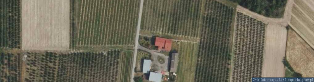 Zdjęcie satelitarne Maciejówka ul.