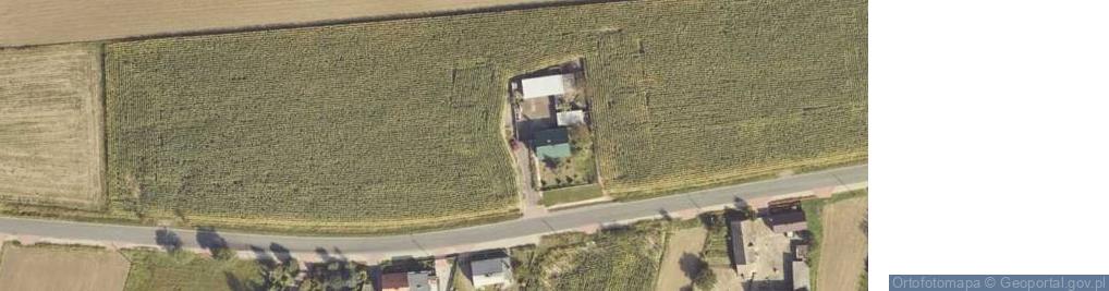 Zdjęcie satelitarne Magnuszewice ul.