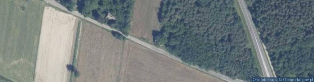 Zdjęcie satelitarne Maksymilianów ul.