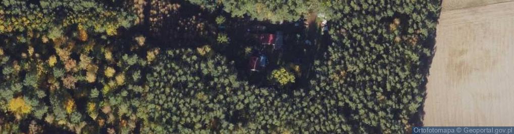 Zdjęcie satelitarne Mały Buczek ul.