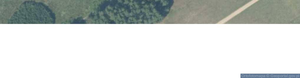 Zdjęcie satelitarne Magnolii ul.