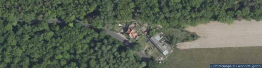 Zdjęcie satelitarne Marchwice ul.