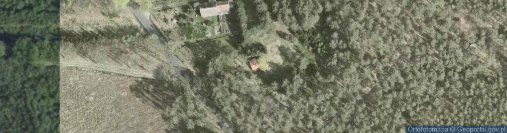 Zdjęcie satelitarne Marchwice ul.