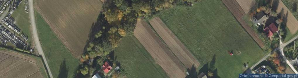 Zdjęcie satelitarne Marcinkowice ul.
