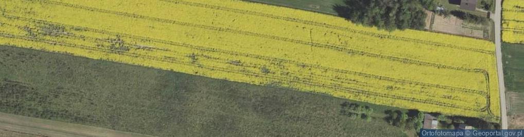 Zdjęcie satelitarne Marianka ul.