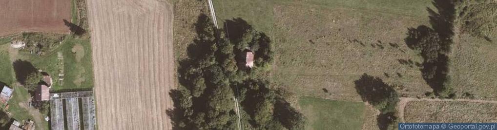 Zdjęcie satelitarne Marianówka ul.