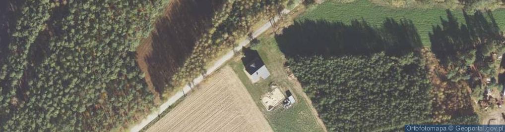 Zdjęcie satelitarne Marszałki ul.